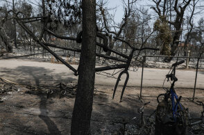 Εικόνες καταστροφής στην Εύβοια μετά τη φωτιά - Στη «Διαύγεια» όλα τα μέτρα για την εργασία