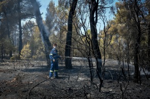 Φωτιά στη Φθιώτιδα © EUROKINISSI