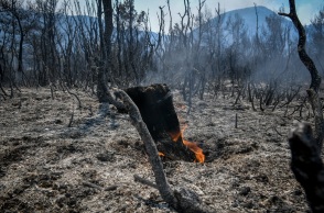 Καμένη έκταση στα Βίλια Αττικής - Σε εξέλιξη τα πύρινα μέτωπα 