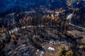Καμένες εκτάσεις μετά τις πρόσφατες καταστροφικές πυρκαγιές στη Βόρεια Εύβοια
