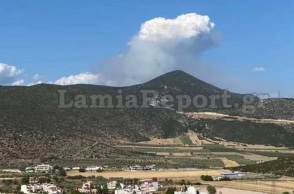 Φωτιά στο Λογγίτσι Φθιώτιδας 