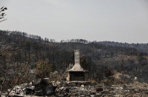 Στάχτη και αποκαΐδια από τις πυρκαγιές στη Βόρεια Εύβοια (ΦΩΤΟ ΑΡΧΕΙΟΥ) - Σε 10 πυλώνες το σχέδιο ανασυγκρότησης, όπως δήλωσε ο Σταύρος Μπένος
