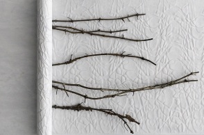 Έργο του Giuseppe Penone.