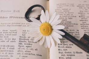 Βιβλίο - Μετάφραση βιβλίου