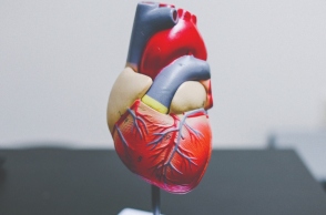 Η ανθρώπινη καρδιά