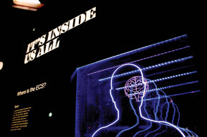 Aλτσχάιμερ: Η διατροφή ως προστατευτικός παράγοντας της νόσου  