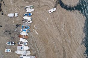 Θάλασσα Μαρμαρά: Εμφανίστηκε εκ νέου η βλέννα