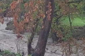 Κακοκαιρία στην Εύβοια: Έντονη βροχή στον Δήμο Μαντουδίου Λίμνης Αγίας Άννας