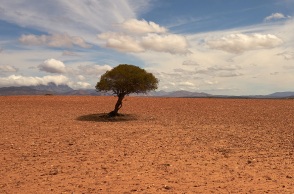 Κλίμα: Τα τελευταία επτά χρόνια θα καταγραφούν ως τα θερμότερα από τότε που κρατούνται αρχεία