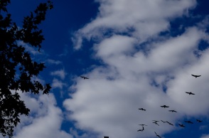 ΚΑΙΡΟΣ ΣΥΝΝΕΦΑ (ΚΟΝΤΑΡΙΝΗΣ ΓΙΩΡΓΟΣ EUROKNISSSI)