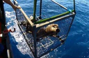 Ναυάγιο ανακαλύφθηκε στα Κύθηρα