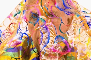 "Shiny", αυτοπορτρέτο του Jimmie Duhram , 2016