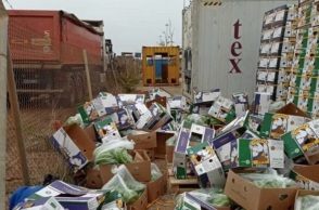 Θεσσαλονίκη: Κοντέινερ με μπανάνες έκρυβε 82 κιλά κοκαΐνης