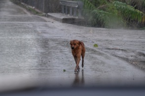 Μαρουσάκης - Νέο κύμα κακοκαιρίας