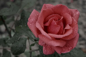 Βροχή (ΦΩΤΟ ΑΡΧΕΙΟΥ)