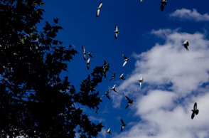 Ο καιρός σήμερα Σάββατο 20 Νοεμβρίου 2021 έχει νεφώσεις στο μεγαλύτερο μέρος της χώρας, σύμφωνα με την πρόγνωση