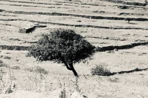 Φωτογραφία στο εξώφυλλο της συλλογής «Ποιήματα» του Ηλία Ευθυμιόπουλου (εκδ. ATHENS VOICE BOOKS)
