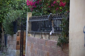 Νεκρή 57χρονη που έπεσε από ταράτσα στο Άργος