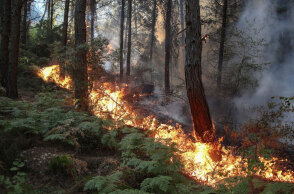 Δασική πυρκαγιά στην Τουρκία