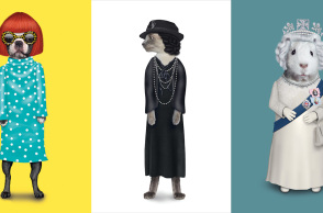 Φωτογραφία από το βιβλίο Pet Rocks των Mark και Kate Polyblank (εκδόσεις TeNeues)