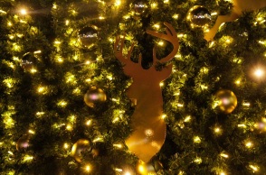 Λεπτομέρεια χριστουγεννιάτικου δέντρου 