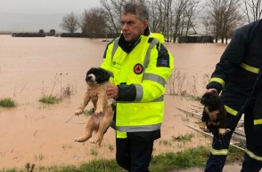 «Δοιμήδης» - Φάρσαλα: Διάσωση κουταβιών που κινδύνεψαν να πνιγούν