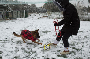 Κακοκαιρία Ελπίδα: Άνδρας παίζει μπάλα με τον σκύλο του στα χιόνια στις Αχαρνές