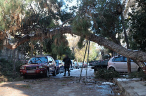 Πεσμένο δέντρο από την κακοκαιρία «Ελπίδα» στη Νέα Σμύρνη