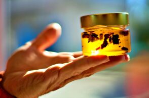 «Μέλι της Αρκούδας»: βιολογικό μέλι από τα βουνά της Δράμας