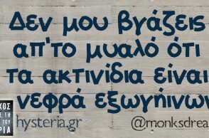 αστείο για ακτινίδια