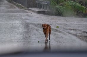 Βροχερός και την Τετάρτη ο καιρός: Καταιγίδες και χιονοπτώσεις 