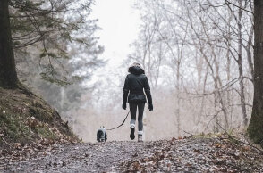 Βόλτα με τον σκύλο στο δάσος