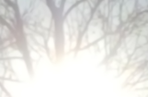 Αλεξάνδρα Αθανασιάδη, Dreamscape (2022)