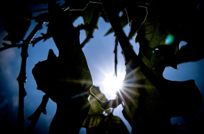 Η πρόγνωση του καιρού για σήμερα Παρασκευή (18/02)