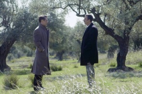 Άγριες Μέλισσες