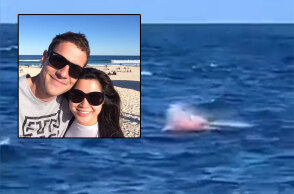 Επίθεση καρχαρία στην Αυστραλία στοίχισε τη ζωή στον Σάιμον Νέλιστ (ένθετη)