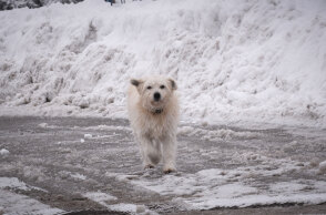 Χιόνια στην Αθήνα φέρνει η κακοκαιρία «Φίλιππος»