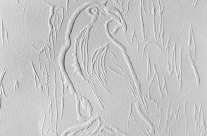 Κατερίνα Ζαχαροπούλου, "Όταν ο κόραξ λευκανθεί" (2020-22), λεπτομέρεια