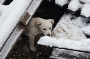 Χιόνια στην Αττική