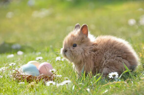 Το Πάσχα 2022 πέφτει φέτος στις 24 Απριλίου