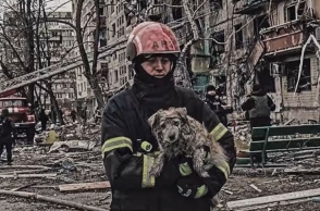 Διασώστης απομακρύνει σκύλο από βομβαρδισμένο κτίριο στην Ουκρανία © Володимир Зеленський/Facebook