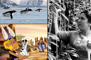 Φάρσες και ψέματα την Πρωταπριλιά - Όταν το BBC μετέδωσε ότι υπάρχουν «μακαρονόδεντρα»