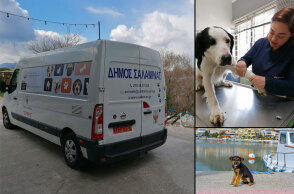 Το ασθενοφόρο για τα αδέσποτα ζώα συντροφιάς στη Σαλαμίνα