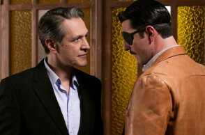 Άγριες Μέλισσες