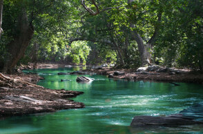 Πράσινα δέντρα και ποτάμι