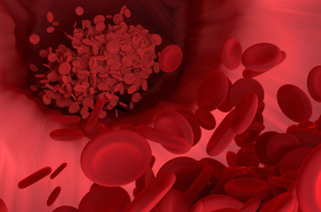 ερυθροκύτταρα ή ερυθρά αιμοσφαίρια