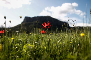 Αίθριος ο καιρός σήμερα Πέμπτη 14 Απριλίου 2022, σύμφωνα με την ΕΜΥ