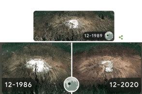 Το doodle της Google για την Ημέρα της Γης 2022