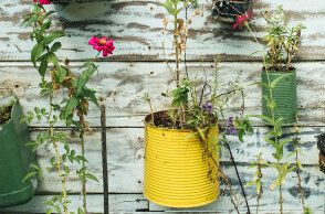 Γλάστρες από πλαστικούς και σιδερένιους κουβάδες