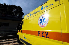 Στην Αθήνα από το Πήλιο μεταφέρθηκε το παιδί που το τσίμπησε αράχνη «μαύρη χήρα»